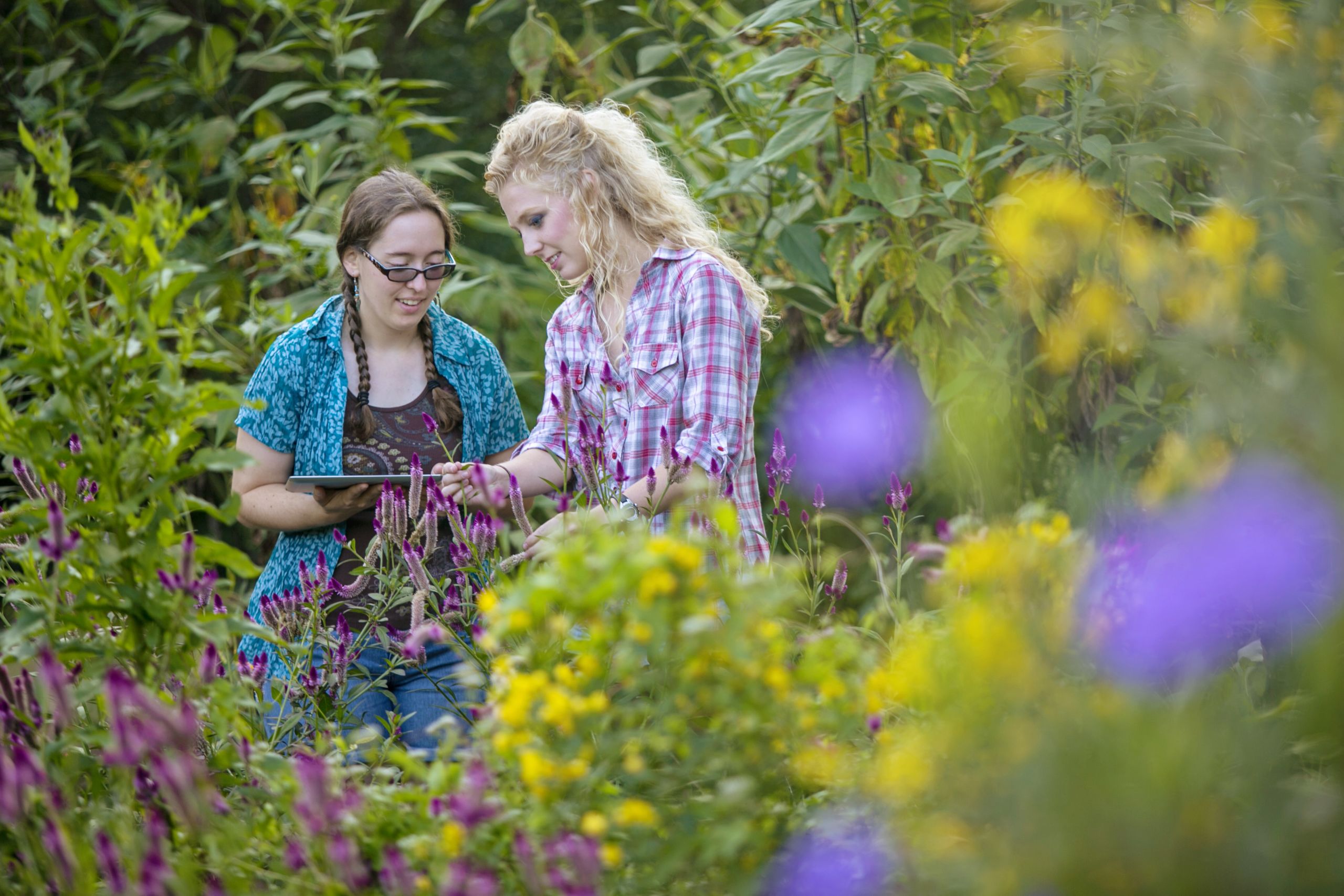 Griffin campus students seek bugs in a flower garden