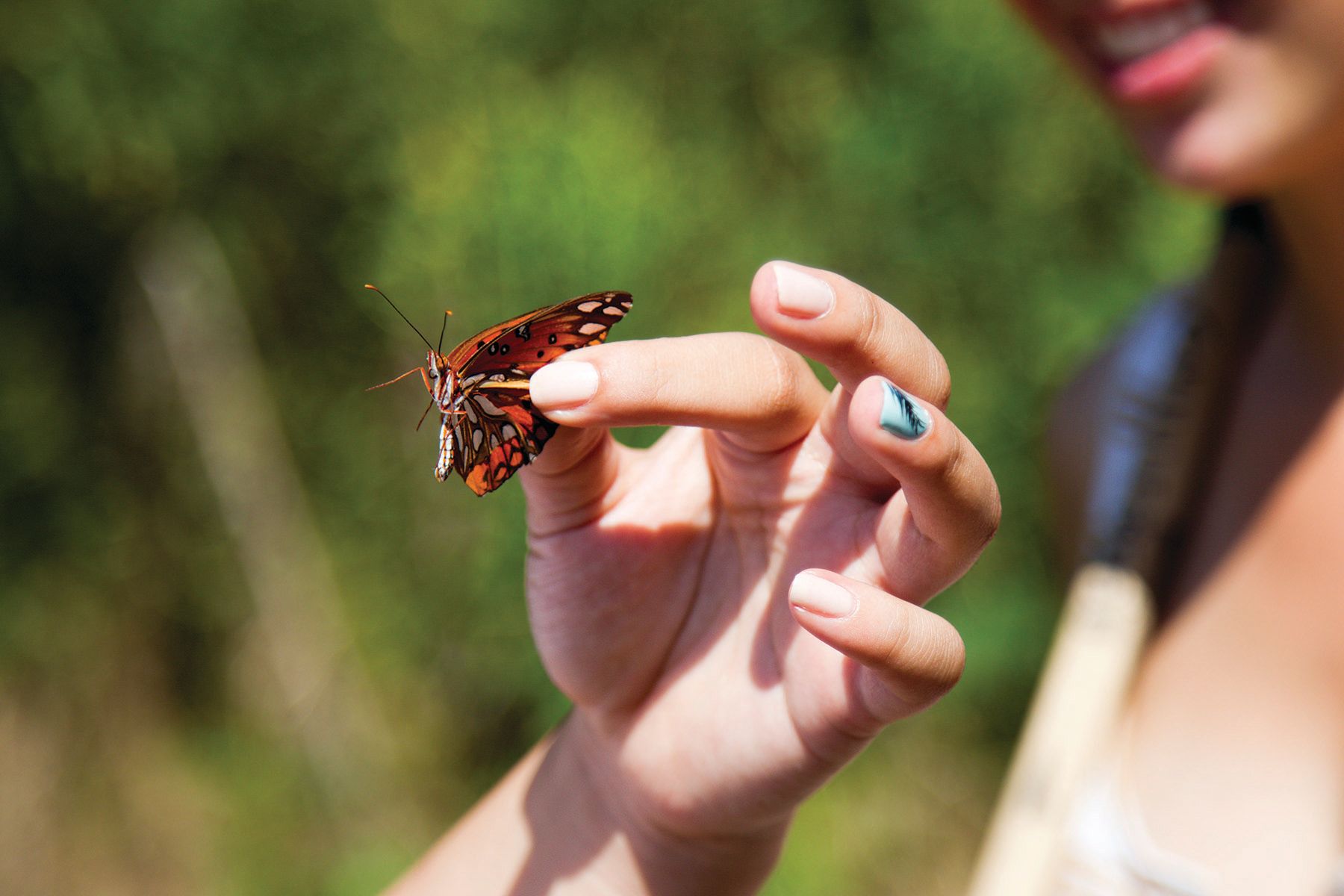 A CAES entomology student examines a butterfly