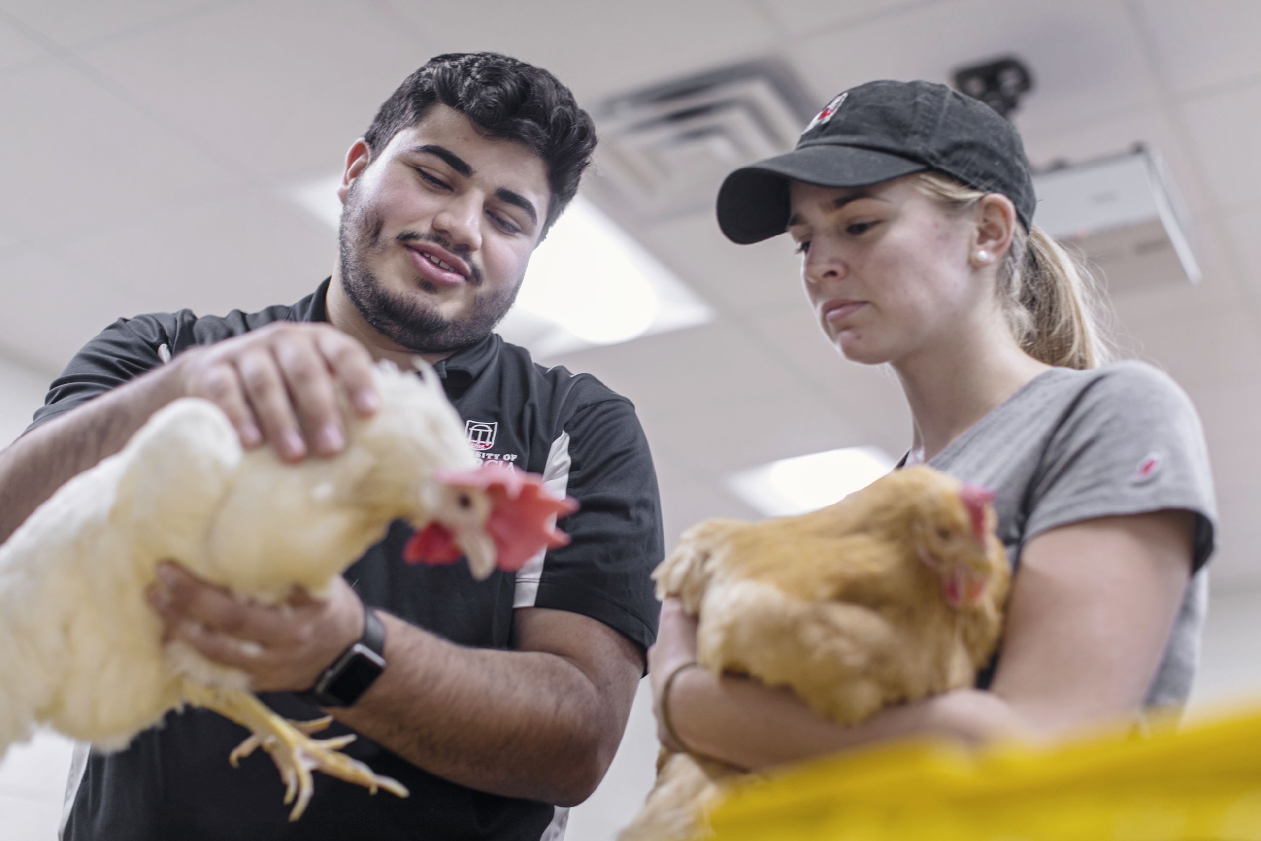 Students handle chickens at UGA Griffin