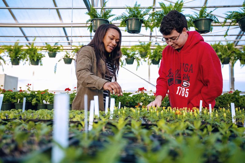 Header image of students in greenhouse